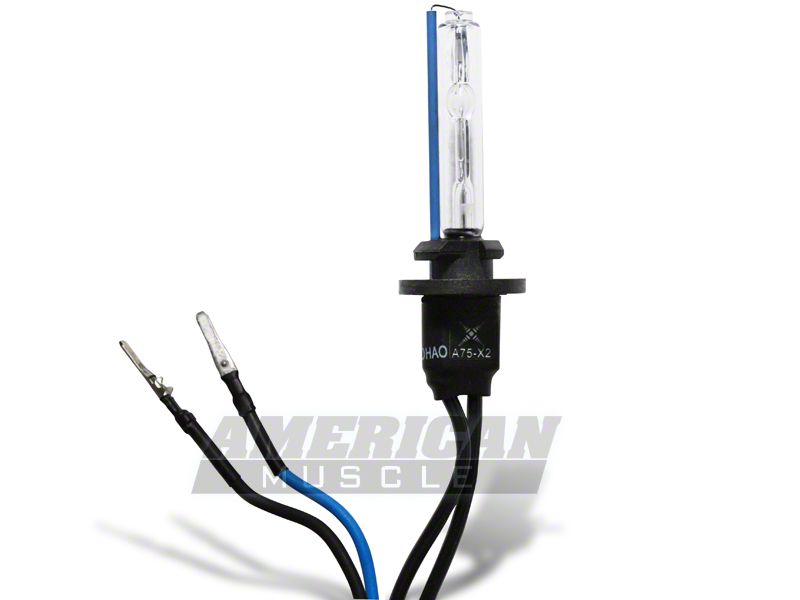 HID Replacement Bulb - 893 (94-04 GT; 94-01 Cobra)