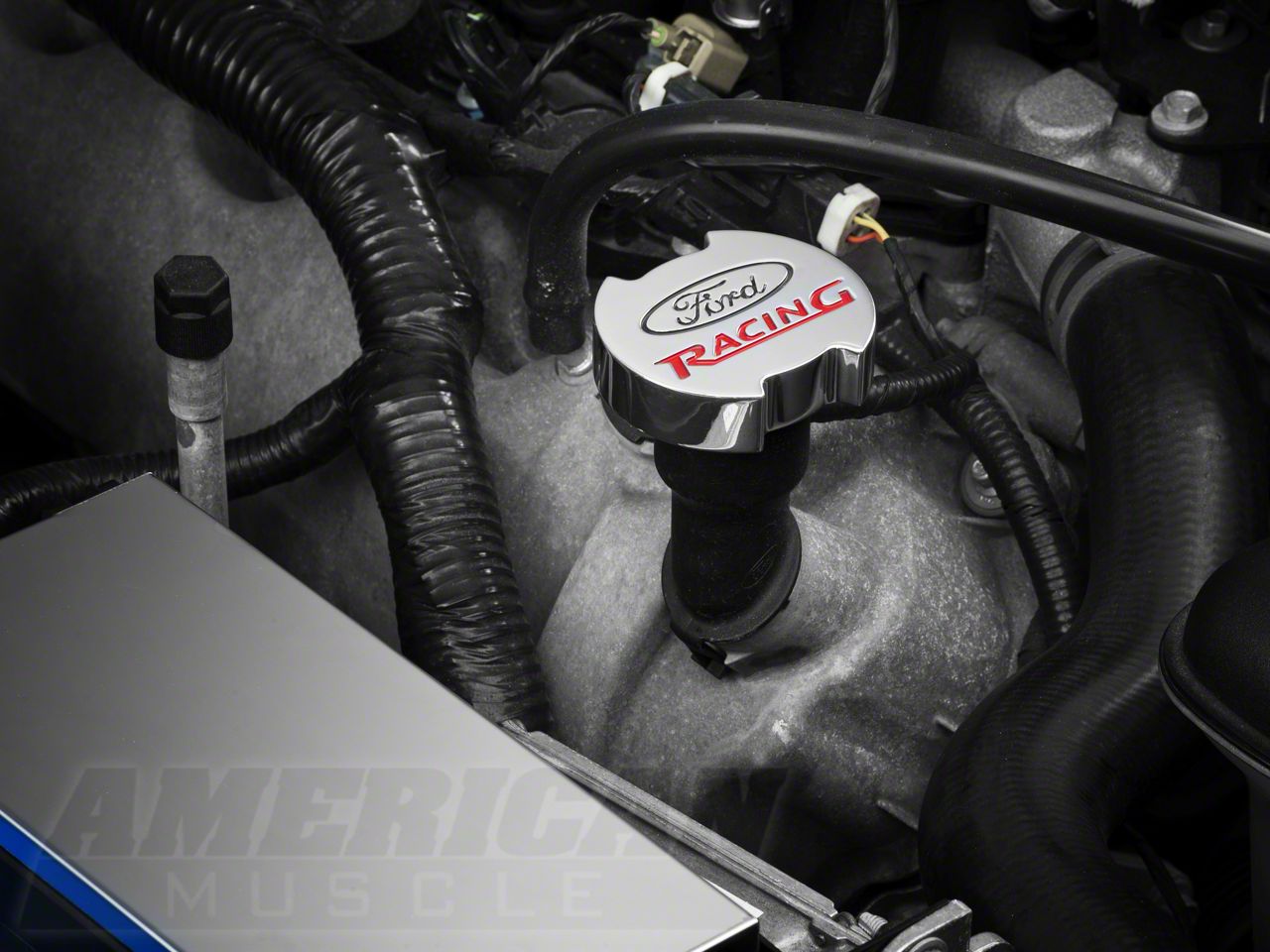 Ford Racing Oil Cap Cover (96-10 4.6L, 5.4L)