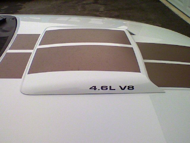 4.6L V8 Hood Scoop Decals - Black (96-10 All)