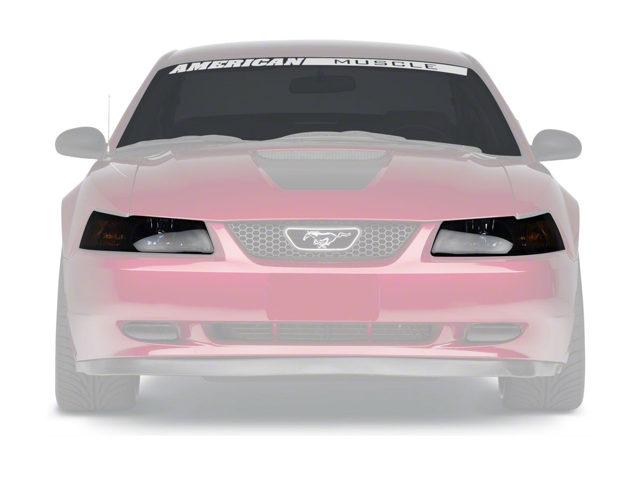 3M Paint Protection Film - Headlights (99-04 All)