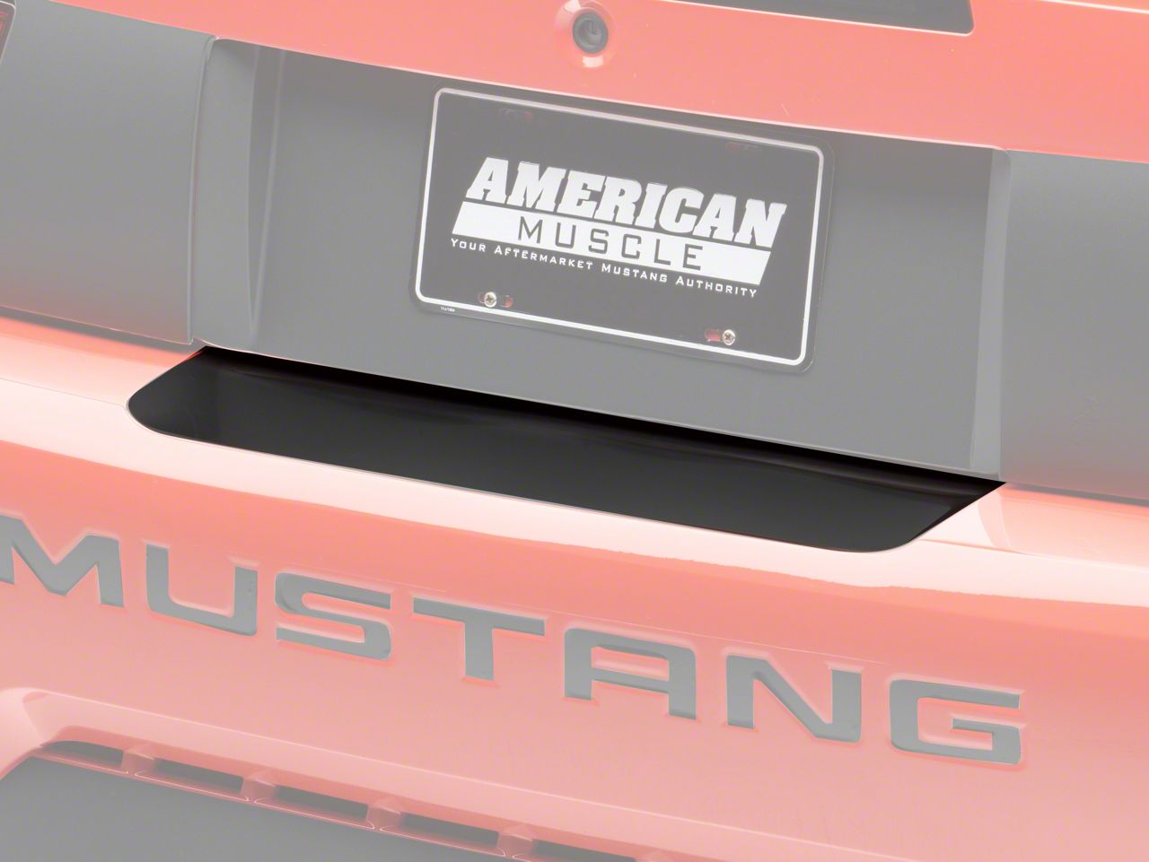 Matte Black Rear Bumper Accent (99-04 All)
