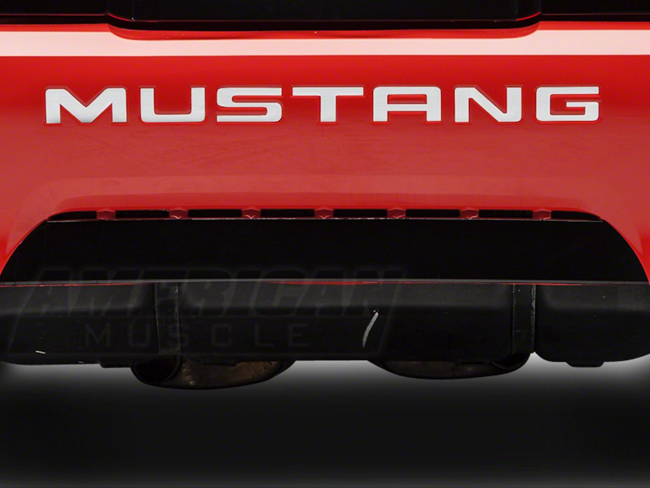 Stainless Steel Vinyl Bumper Insert Letters (99-04 GT, V6, Mach 1; 99 Cobra)