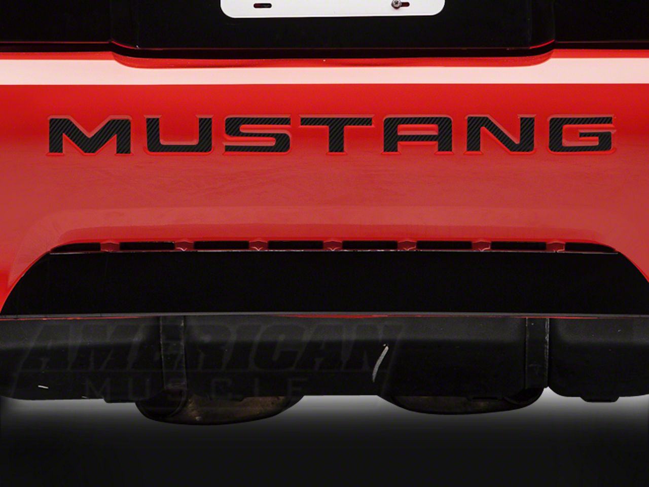 Carbon Fiber Vinyl Bumper Insert Letters (99-04 GT, V6, Mach 1; 99 Cobra)