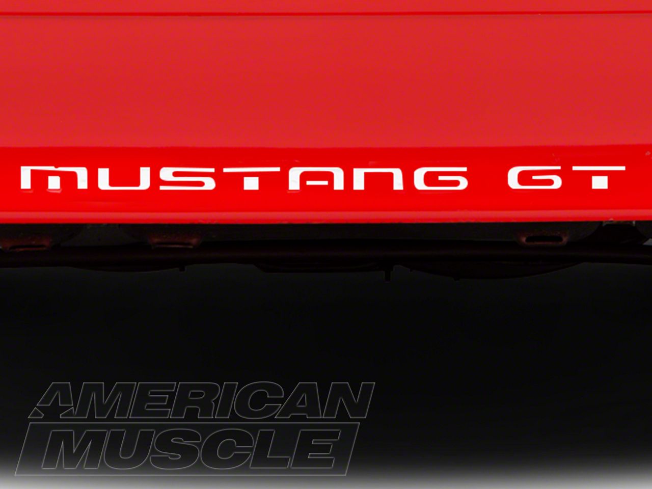 White Vinyl Bumper Insert Letters (87-93 GT, LX)