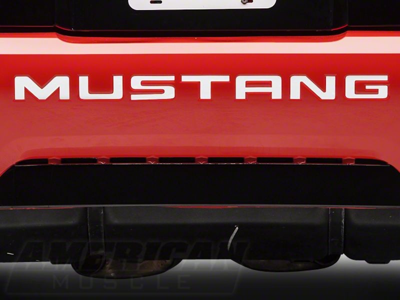 White Vinyl Bumper Insert Letters (99-04 GT, V6, Mach 1; 99 Cobra)