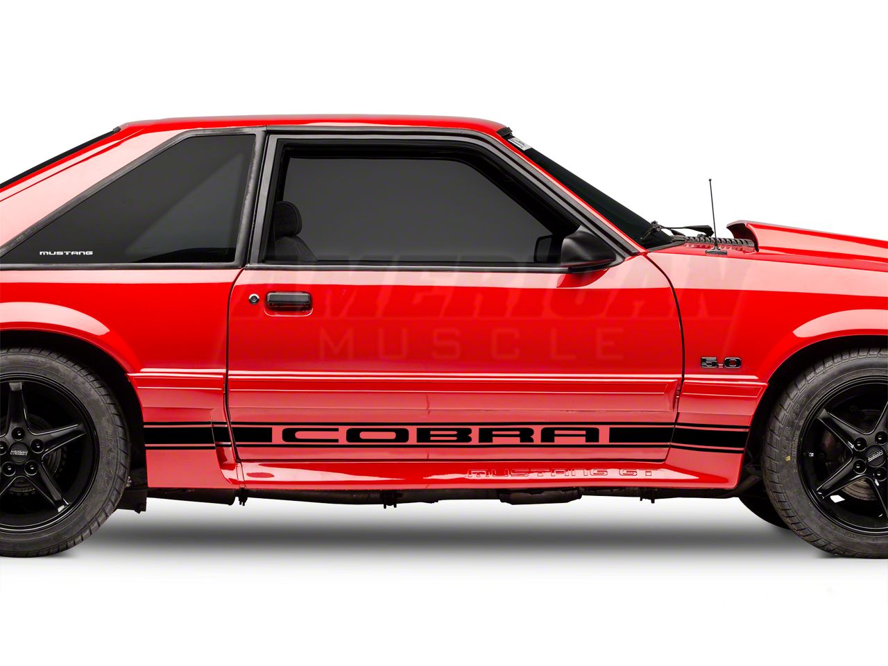 Black Rocker Stripes w/ Cobra Lettering (79-93 All)