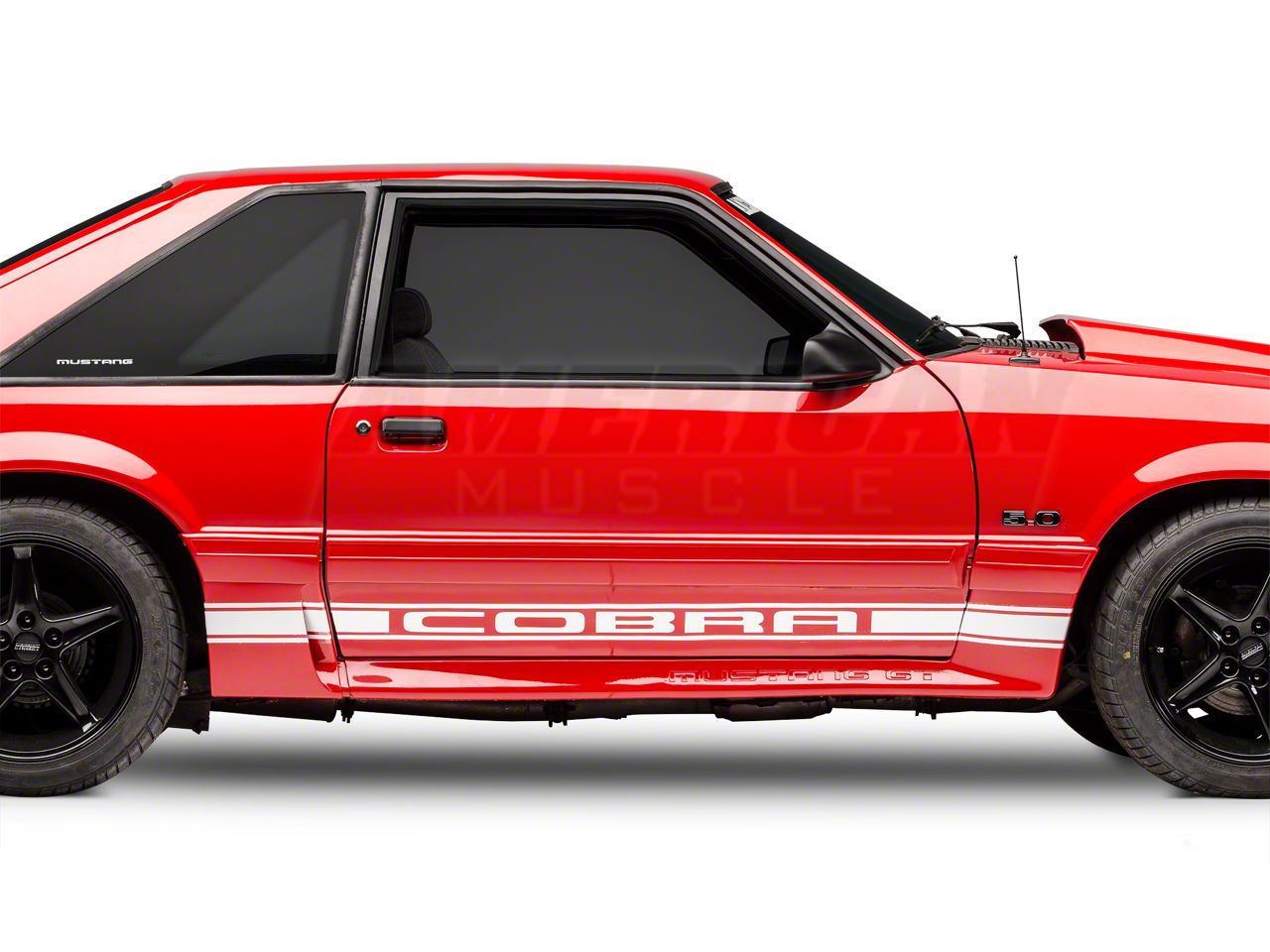White Rocker Stripes w/ Cobra Lettering (79-93 All)