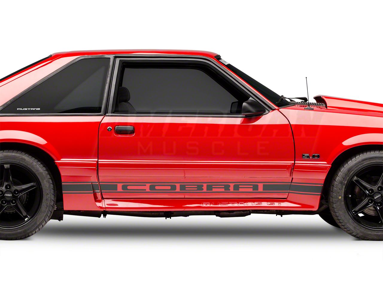 Matte Black Rocker Stripes w/ Cobra Lettering (79-93 All)