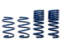 lowering springs ecoboost gt performance sr fastback ford v6 track