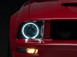 Smoked Headlights - CCFL Halo (05-09 GT, V6)