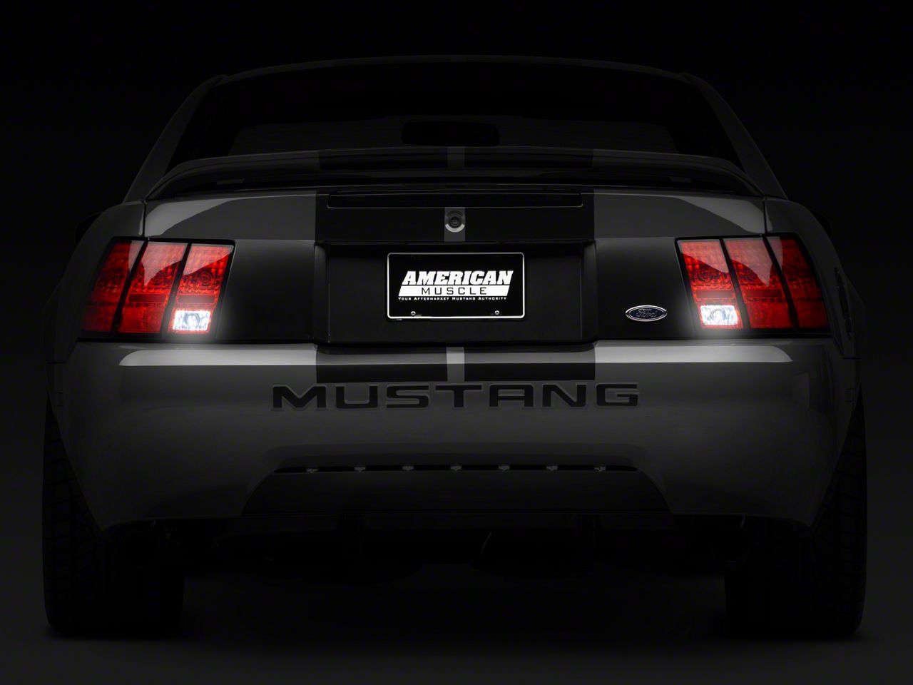 Raxiom Reverse Light LED Conversion Kit (94-04 All)