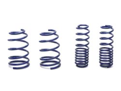 SR Performance Lowering Springs - Coupe (05-14 GT, V6)