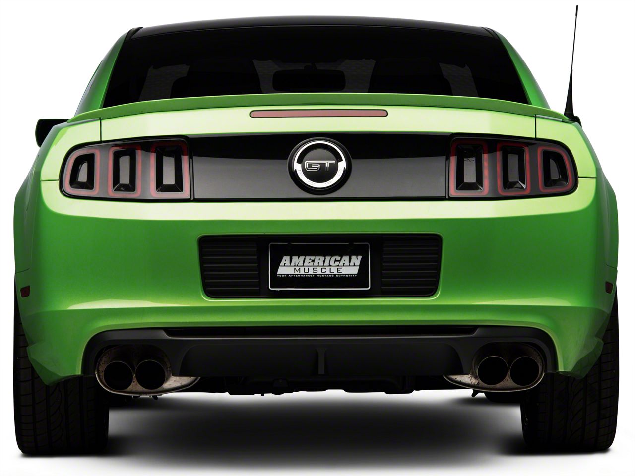 Shelby GT500 Rear Valance (13-14 All)