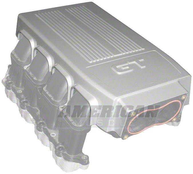 Mustang 4.6L Engine Plenum Cover (05-10 GT)