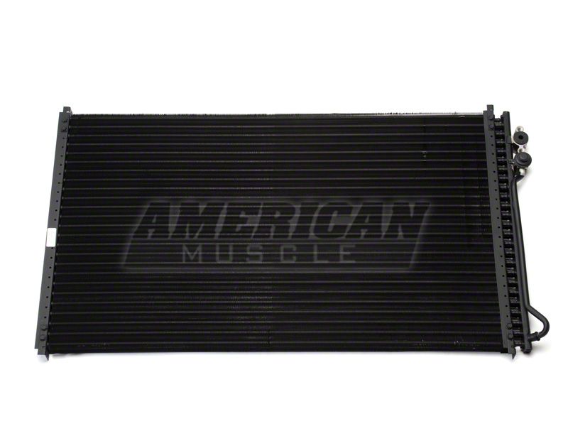 A/C Condenser (99-04 All)