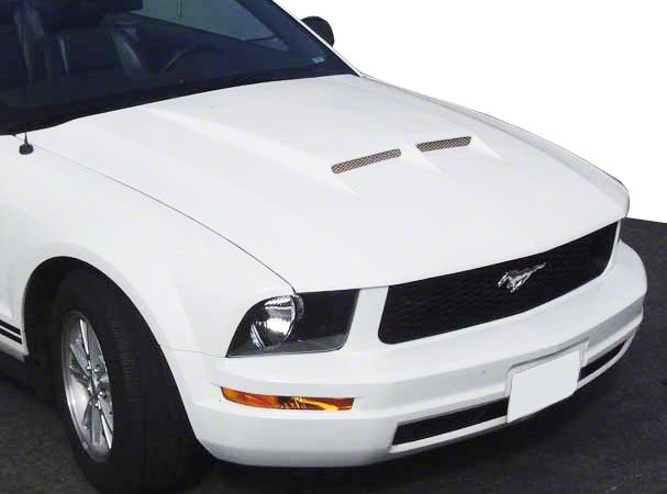 VFiber Mustang Ram Air Hood (05-09) - Unpainted