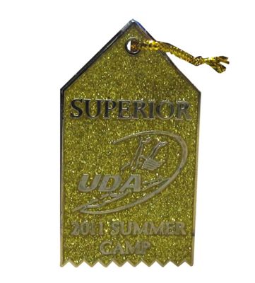 UDA Gold Superior 2011 Summer Camp pin
