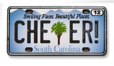 South Carolina State Pin