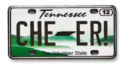 Tennessee State Pin