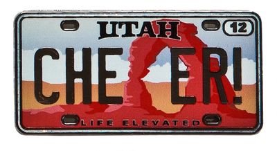 Utah State Pin
