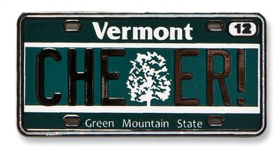 Vermont State Pin