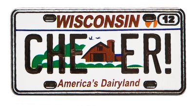 Wisconsin State Pin