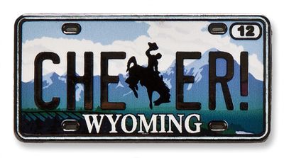 Wyoming State Pin