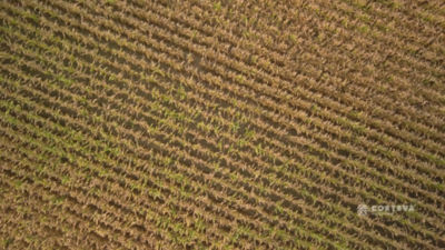 This is my story - Canada: Episode 06