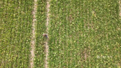 This is my story - Germany: Episode 08