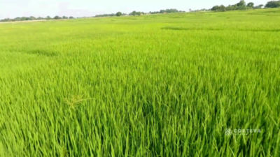 This is my story - India: Episode 05