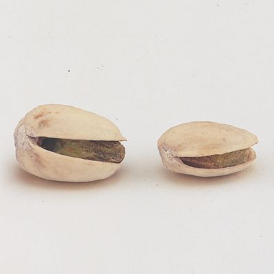 Sack O Pistachios