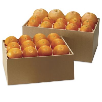 Valencia Oranges