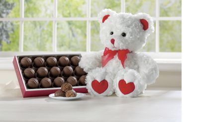 Plush Bear and Truffles