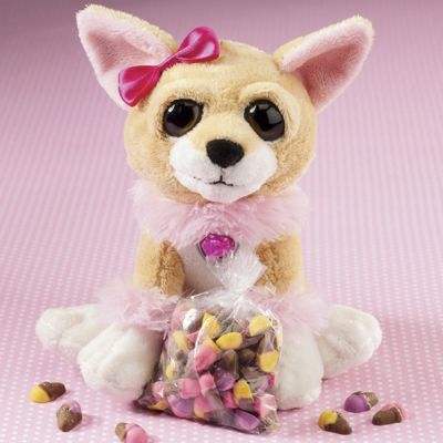 Chihuahua with Candy