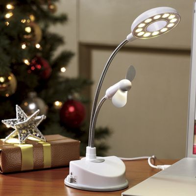 USB Desk Lamp with Fan