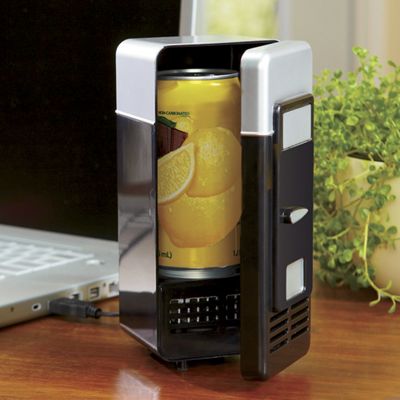 Usb Heating and Cooling Mini Fridge