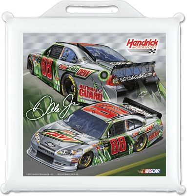 Dale Earnhardt Jr 88 Diet Mountain Dew Seat Cushion