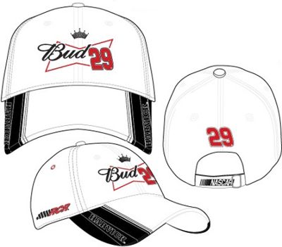 Kevin Harvick #29...