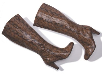 Dutch Snake Boot