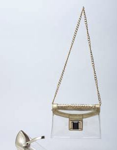 Cinderella Clutch