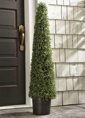 Topiary Cone