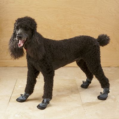 Dog Boots Arctic Winter Proof