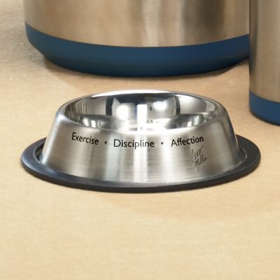 Cesar Millan Small Pet Bowl