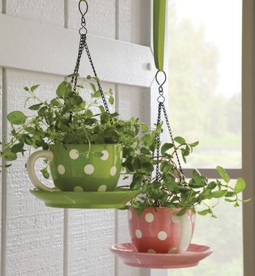 Teacup Flowerpot
