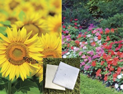Set Of 2 Flower Seed Garden Mats