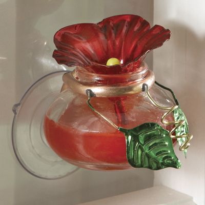 Window Hummingbird Feeder