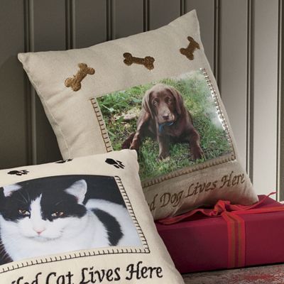 Pillow Spoiled Dog
