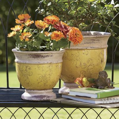 Set of 2 Rustic Planters