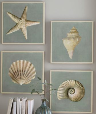 Set Of 4 Seashell Canvas Prints