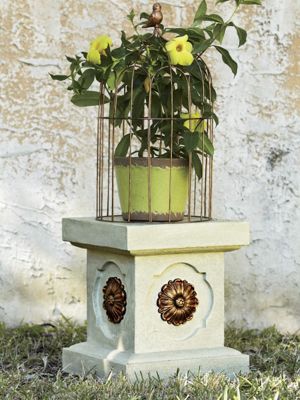 Birdcage Terrarium